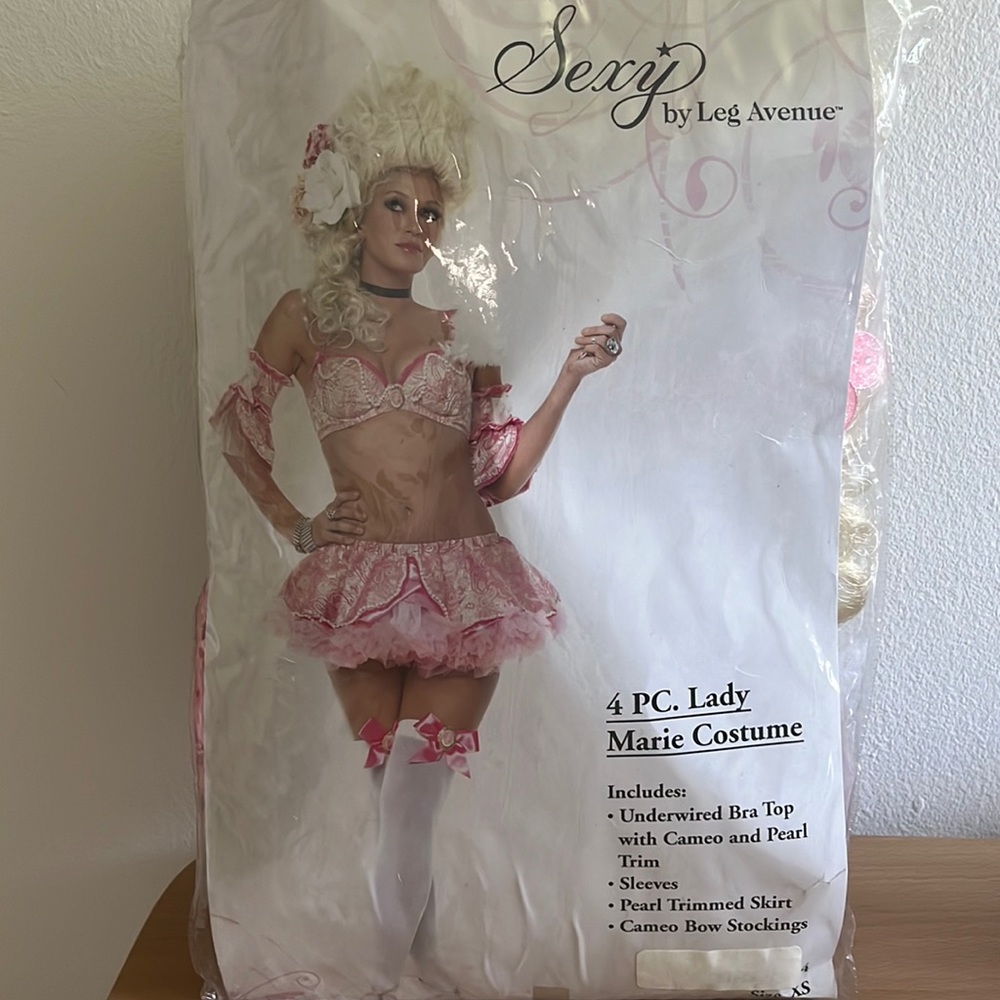 Marie Antoinette Leg Avenue Sexy Costume w luxe wig!